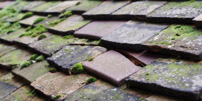 Woodford Bridge roof repair costs